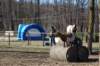 dsc_0007_small.jpg