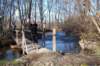 dsc_0243_small.jpg