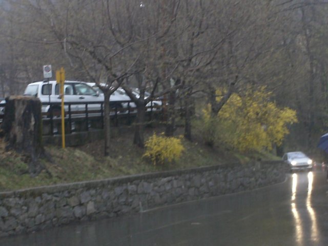 pict0081.jpg