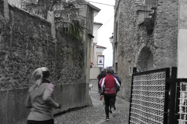 _2010340.jpg