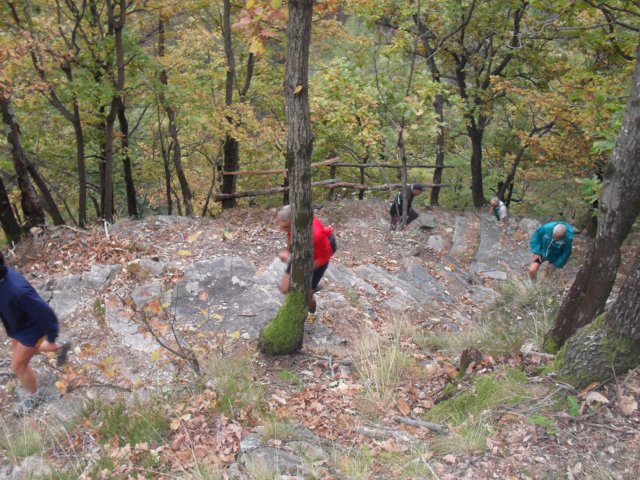 sdc14927.jpg
