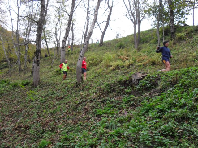 sdc14945.jpg