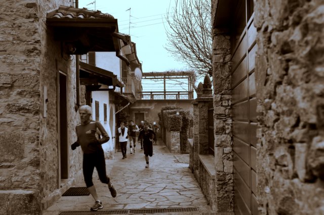 _2010192.jpg