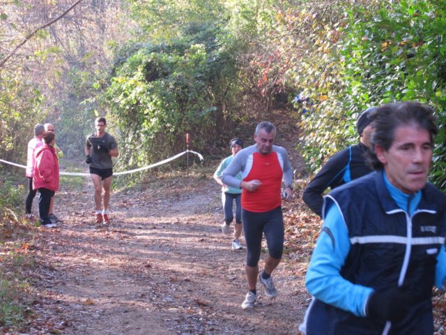 img_9576.jpg