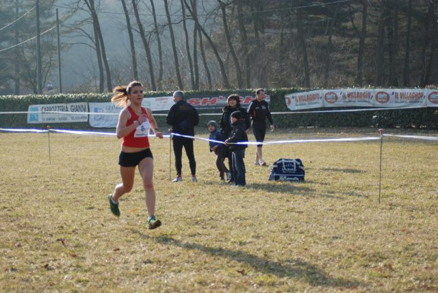 bdsc_0438290.jpg