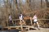 bdsc_043843_small.jpg