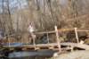 bdsc_043847_small.jpg