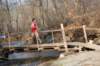 bdsc_043849_small.jpg