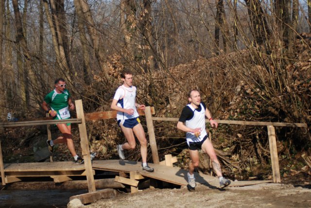 bdsc_043857.jpg