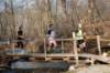 bdsc_043867_small.jpg