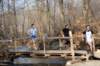 bdsc_043868_small.jpg