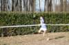 bdsc_04389_small.jpg