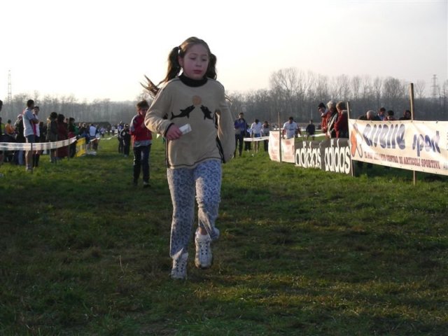 p036.jpg