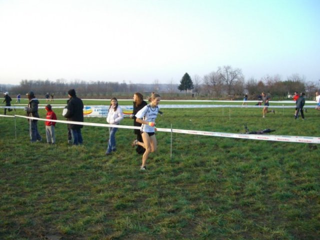 p233.jpg