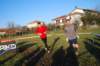 bedisco08104_small.jpg