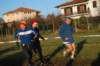 bedisco08110_small.jpg