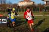 bedisco08114_small.jpg
