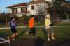 bedisco08118_small.jpg