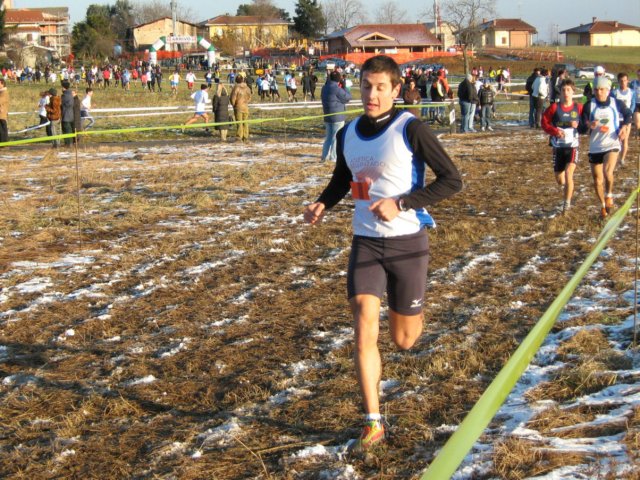 bedisco08121.jpg