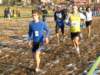 bedisco08129_small.jpg