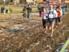 bedisco08130_small.jpg