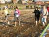 bedisco08138_small.jpg