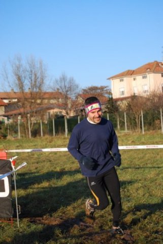 bedisco08152.jpg