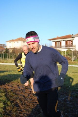 bedisco08154.jpg