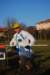 bedisco08161_small.jpg