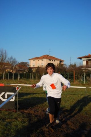 bedisco08190.jpg