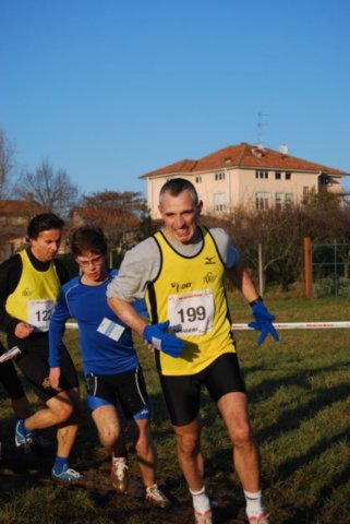 bedisco08206.jpg