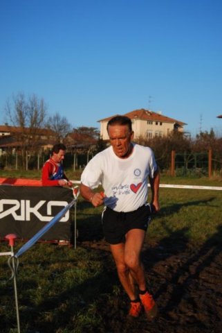 bedisco08240.jpg