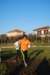 bedisco08259_small.jpg