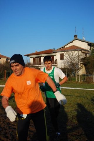bedisco08260.jpg