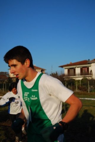 bedisco08262.jpg