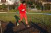 bedisco08267_small.jpg
