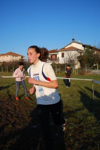bedisco08297.jpg