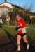 bedisco08301_small.jpg