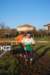 bedisco08319_small.jpg
