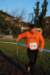 bedisco08320_small.jpg