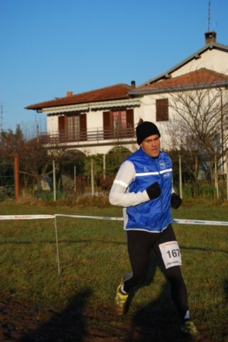 bedisco08334.jpg