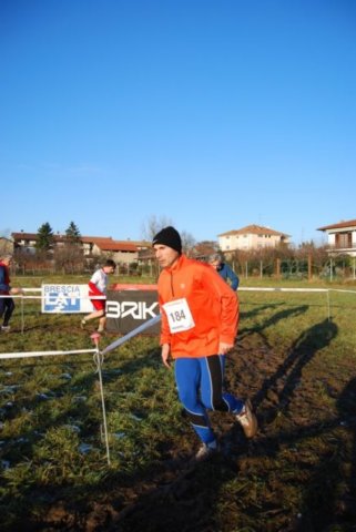 bedisco08337.jpg