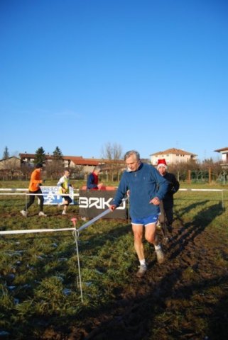 bedisco08338.jpg