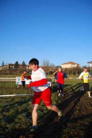 bedisco08340.jpg