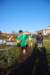 bedisco08347_small.jpg