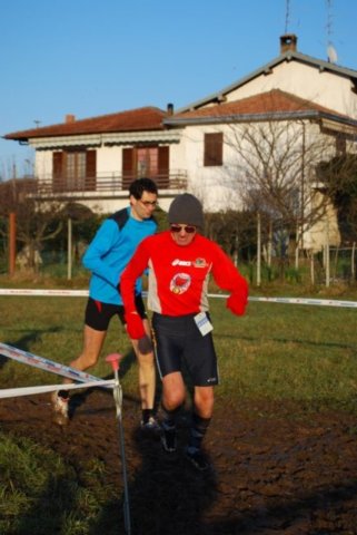 bedisco08377.jpg