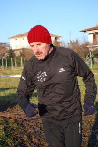 bedisco08411.jpg