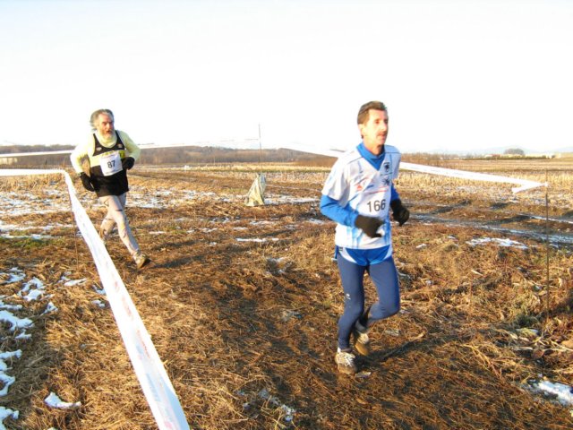 bedisco08449.jpg