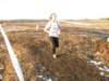 bedisco08454_small.jpg