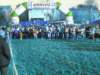bedisco0846_small.jpg